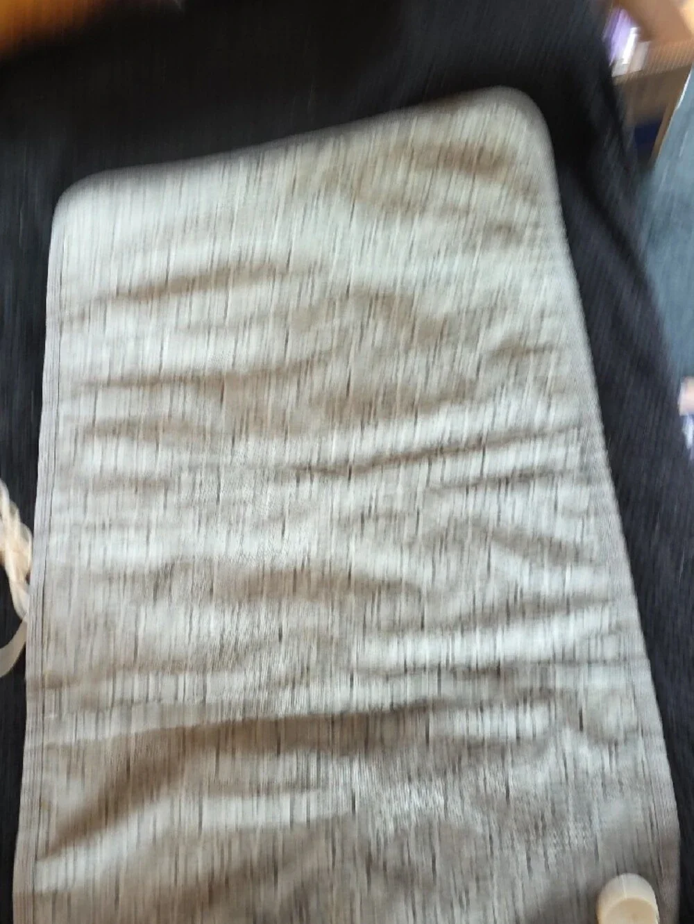 Electric Heated Dog Pad